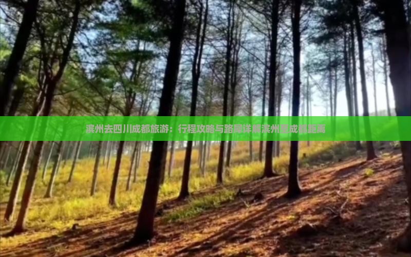 滨州去四川成都旅游：行程攻略与路犀详解滨州至成都距离