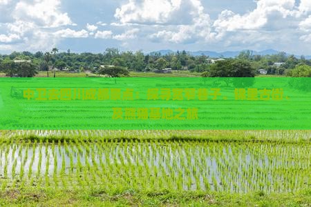 中卫去四川成都景点：探寻宽窄巷子、锦里古街、及熊猫基地之旅