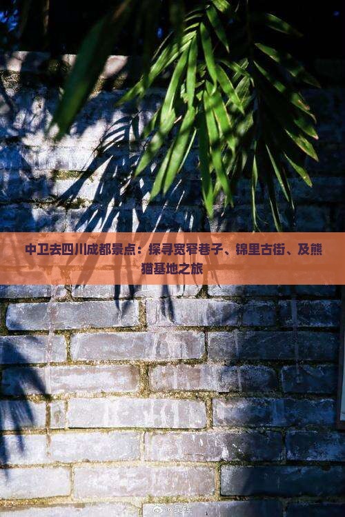 中卫去四川成都景点：探寻宽窄巷子、锦里古街、及熊猫基地之旅