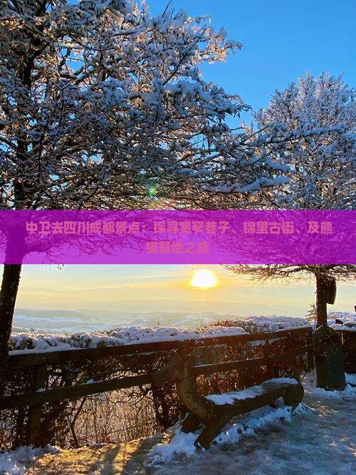 中卫去四川成都景点：探寻宽窄巷子、锦里古街、及熊猫基地之旅