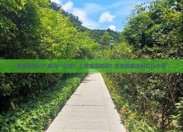 成都到四川九寨沟一日