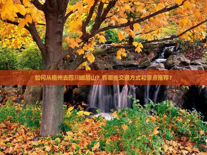 梧州去四川峨眉山攻略