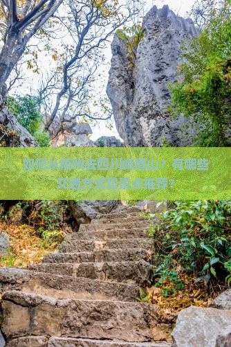 梧州去四川峨眉山攻略