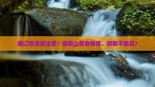 通辽市到四川峨眉山旅游小吃