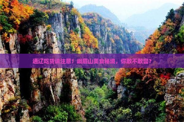 通辽市到四川峨眉山旅游小吃