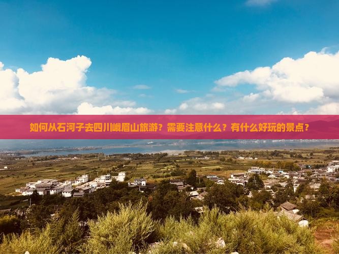 石河子去四川峨眉山旅游 石河子去四川峨眉山旅游