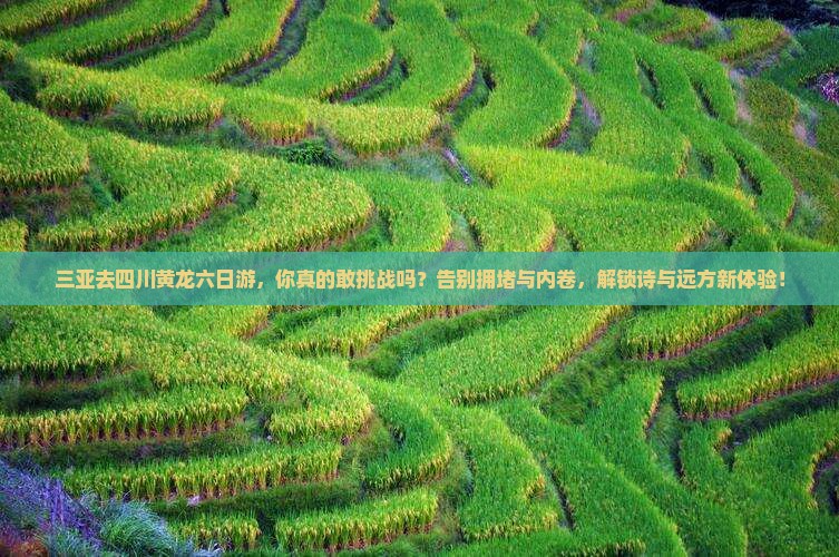 三亚去四川黄龙六日游