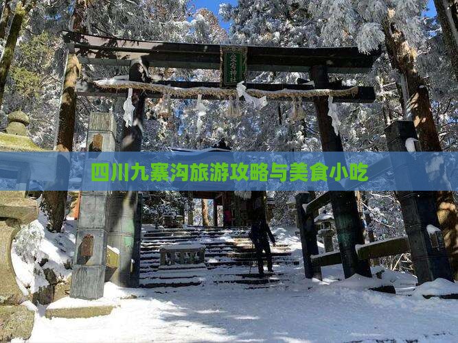 安顺去四川九寨沟旅游小吃
