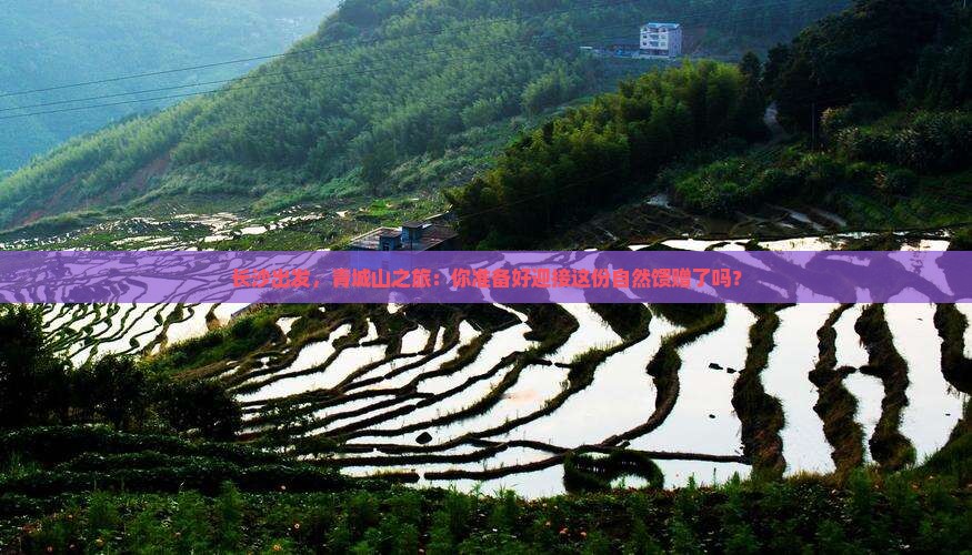 长沙去四川青城山自由行