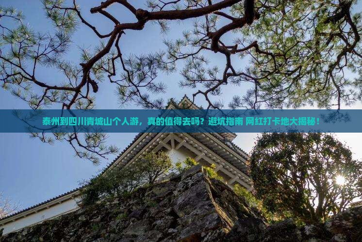 泰州到四川青城山个人游
