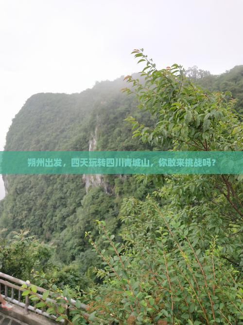 朔州去四川青城山四日游