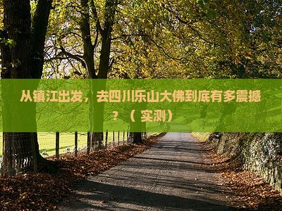 镇江去四川乐山大佛旅游
