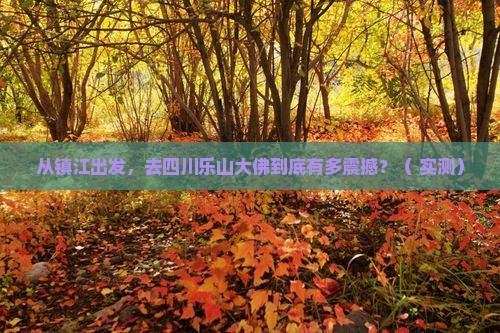 镇江去四川乐山大佛旅游