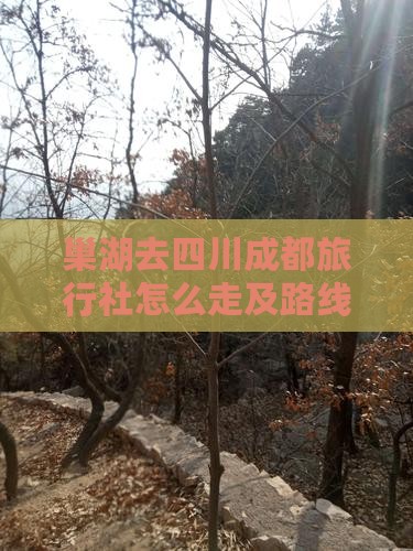 巢湖去四川成都旅行社