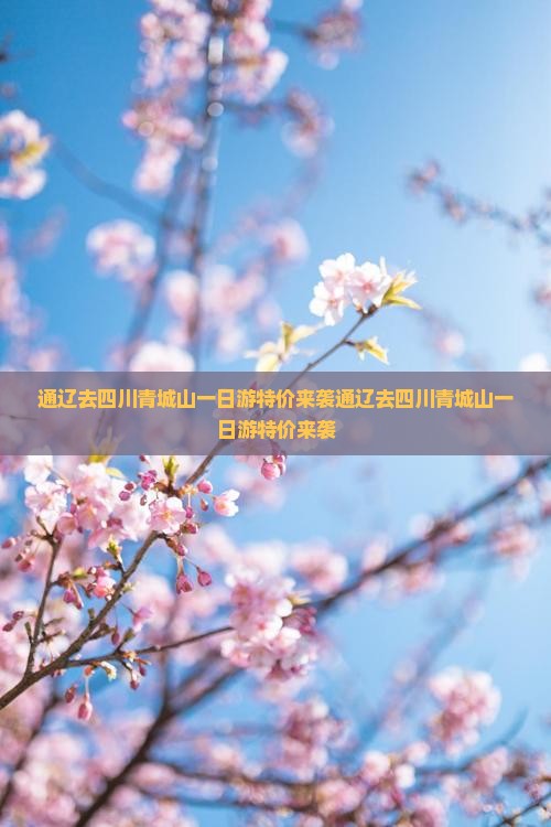通辽去四川青城山一日