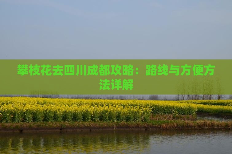 攀枝花去四川成都攻略