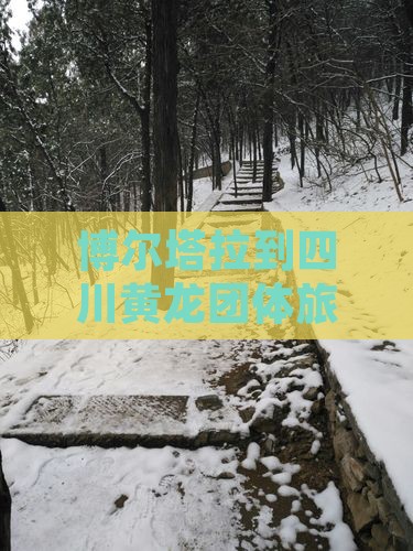 博尔塔拉到四川黄龙团体旅游
