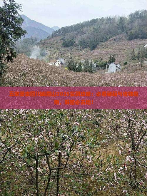 五家渠去四川峨眉山必去地