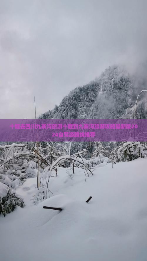 十堰去四川九寨沟旅游