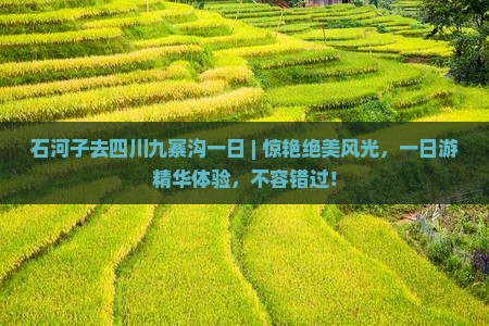 石河子去四川九寨沟一日