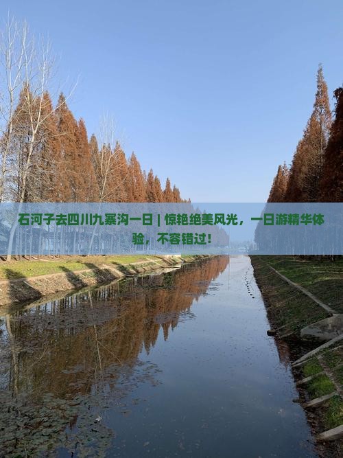 石河子去四川九寨沟一日