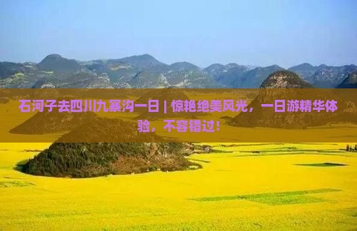石河子去四川九寨沟一日
