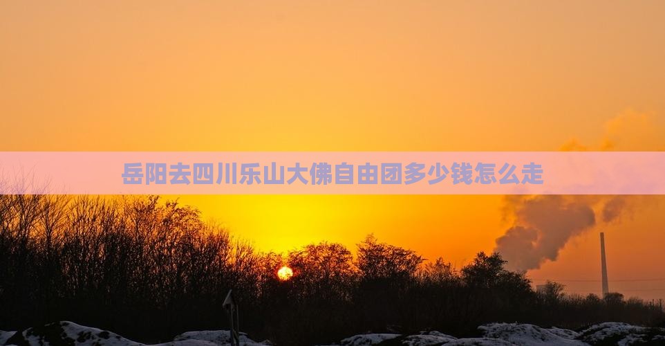 岳阳去四川乐山大佛自由团