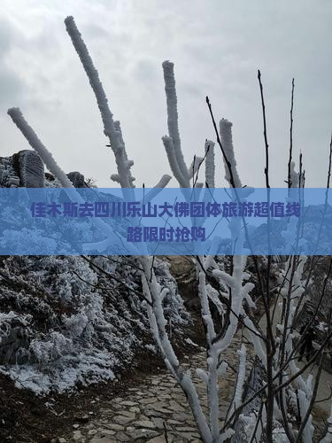 佳木斯去四川乐山大佛团体旅游