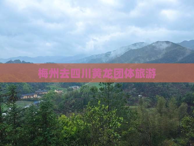 梅州去四川黄龙团体旅游