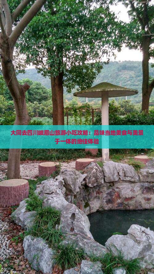 大同去四川峨眉山旅游小吃攻略：品味当地美食与美景于一体的绝佳体验