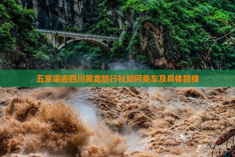 五家渠去四川黄龙旅行社如何乘车及具体路线