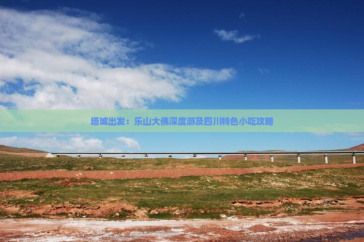 塔城出发：乐山大佛深度游及四川特色小吃攻略