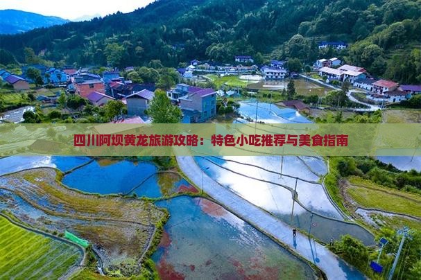 四川阿坝黄龙旅游攻略：特色小吃推荐与美食指南