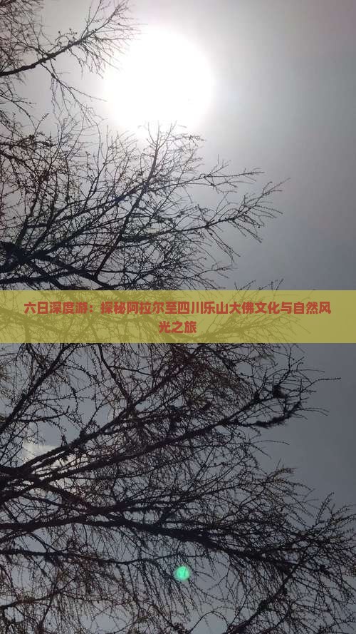 六日深度游：探秘阿拉尔至四川乐山大佛文化与自然风光之旅
