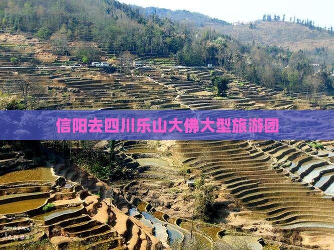 信阳去四川乐山大佛大型旅游团