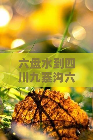 六盘水到四川九寨沟六日游行程推荐