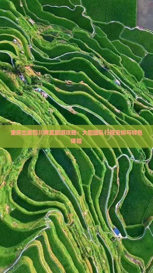 重庆出发四川黄龙旅游攻略：大型团队行程安排与特色体验