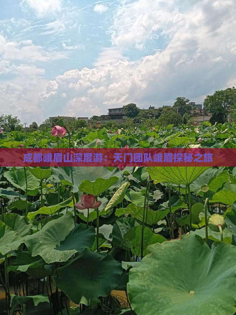 成都峨眉山深度游：天门团队峨眉探秘之旅
