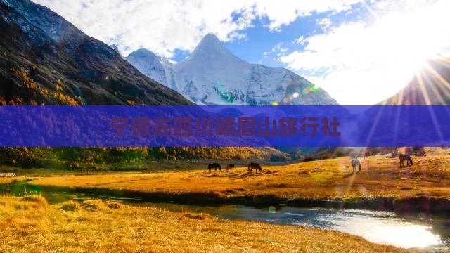 宁德去四川峨眉山旅行社