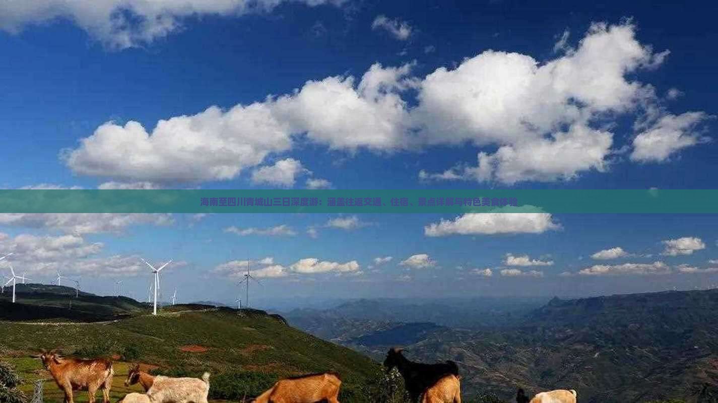 海南至四川青城山三日深度游：涵盖往返交通、住宿、景点详解与特色美食体验