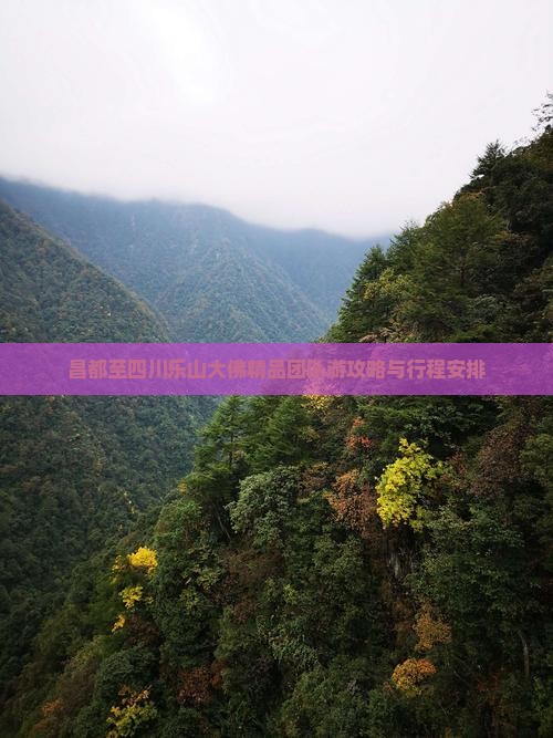 昌都至四川乐山大佛精品团队游攻略与行程安排