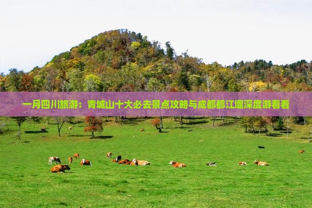 一月四川旅游：青城山十大必去景点攻略与成都都江堰深度游看看
