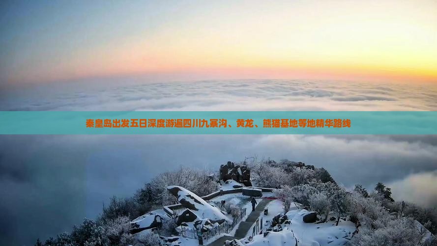 秦皇岛出发五日深度游遍四川九寨沟、黄龙、熊猫基地等地精华路线