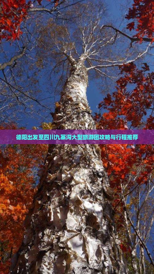 德阳出发至四川九寨沟大型旅游团攻略与行程推荐