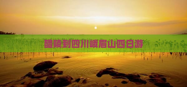 醴陵到四川峨眉山四日游