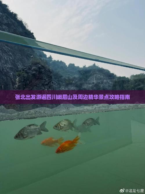 张北出发游遍四川峨眉山及周边精华景点攻略指南