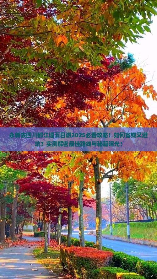 永新去四川都江堰五日游