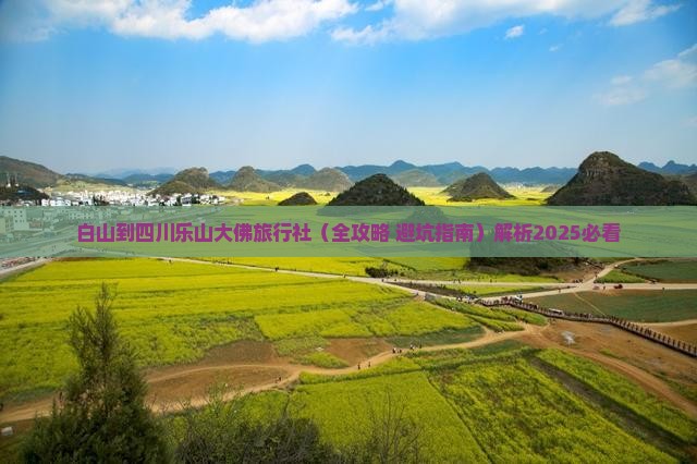 白山到四川乐山大佛旅行社