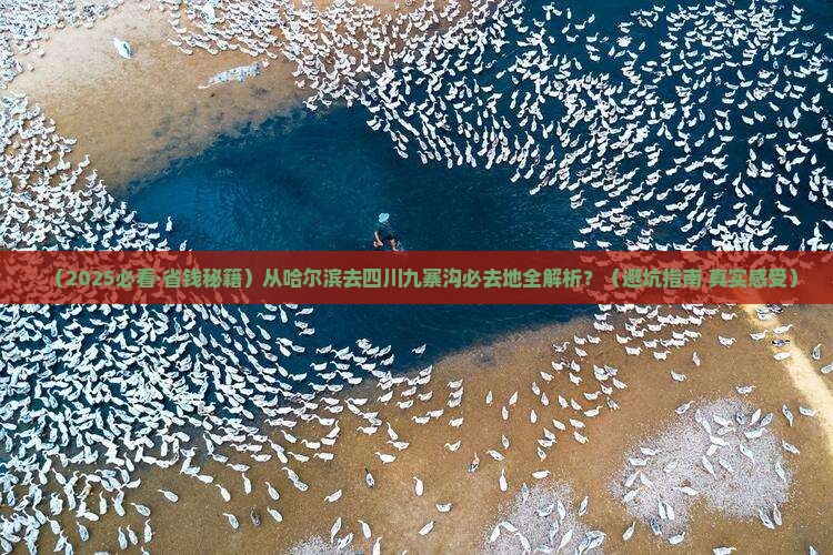 哈尔滨去四川九寨沟必去地