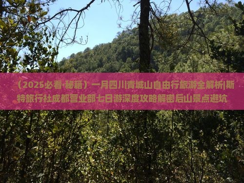 一月去四川青城山自由团